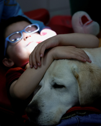 Aldo the Labrador: A Hero at the Dentist's Office in Ecuador